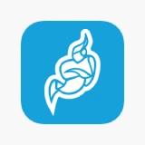 Jitsi